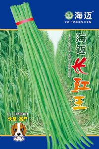 供应海迈长豇王—豇豆种子