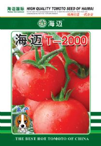 供应t-2000—番茄种子
