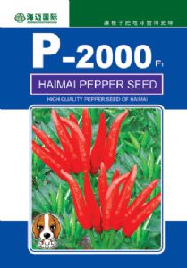 供应p-2000—辣椒种子