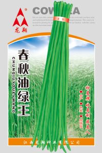 供应春秋油绿王—豇豆种子