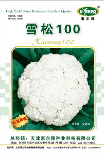 供应雪松100-花椰菜种子