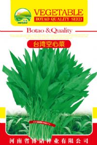 供应台湾空心菜—空心菜种子
