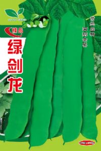 绿剑龙架芸豆供应