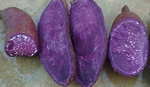 供应山东红薯、紫薯