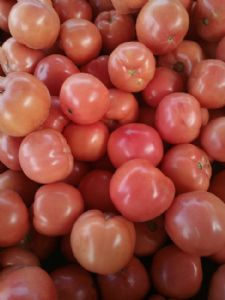 大量供应粉色西红柿
