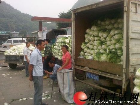 大磨盘南瓜种子多少钱一斤