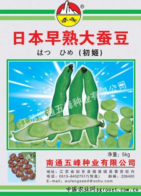 扁豆种植管理技术