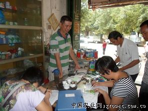 小白菜在天津的批发价