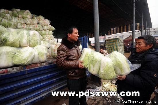 小扁豆批发市场多少钱一斤