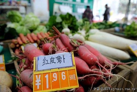 “三步走”助南昌蔬菜产业发展