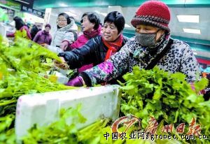 湖南：蔬菜销海外 农民乐增收（图）