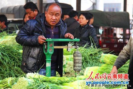 黑龙江冰城蔬菜平均每斤超3块