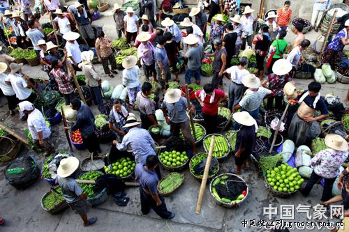 北京京郊农业：蔬菜大棚引来世界500强
