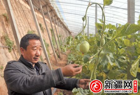 浙江中农化肥有限公司