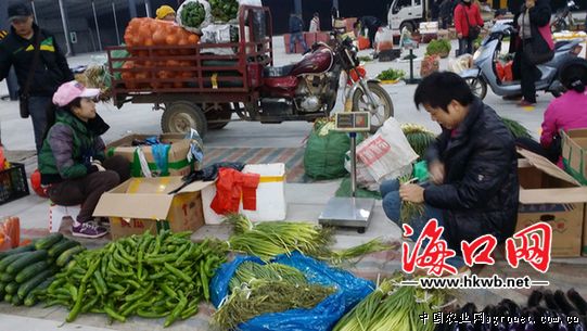 有机花菜市场价多少钱一斤