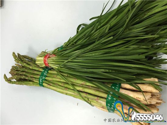 近期宿迁泗阳县蔬菜价格以降为主 青菜白菜下降幅度较大（图）