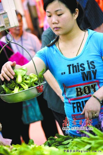 北京：京津冀百余种鲜食番茄“打擂台”（图）