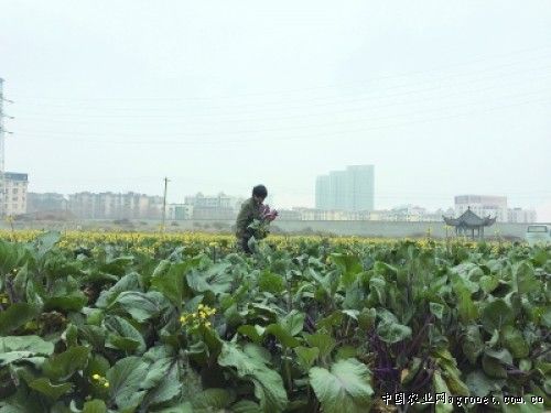 辽宁中农化肥有限公司