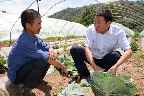 云南：旱情造成蔬菜价格上涨