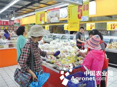 北京小白菜种子公司