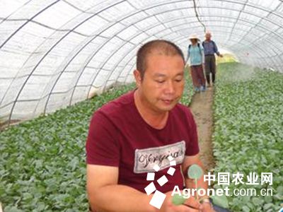 中国化肥网北京
