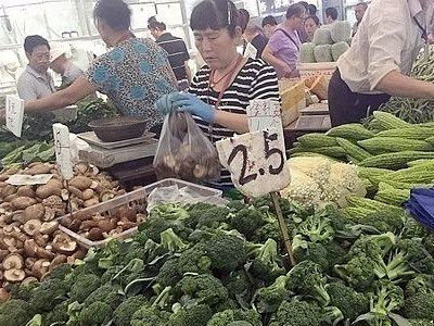 东洋50大白菜施肥技术
