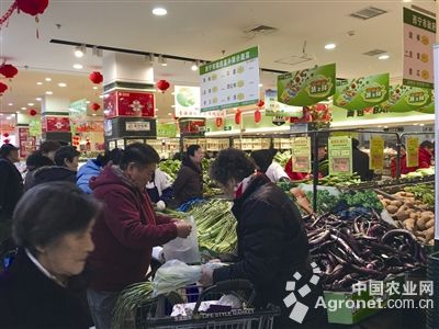 连伯韭菜市场价格