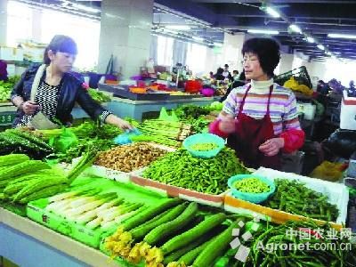 黄芽韭菜多少钱一斤