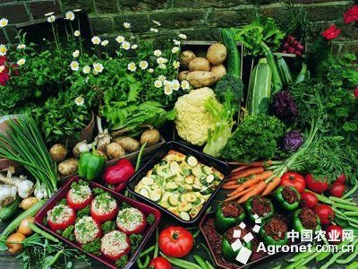 花菜类蔬菜主要种类
