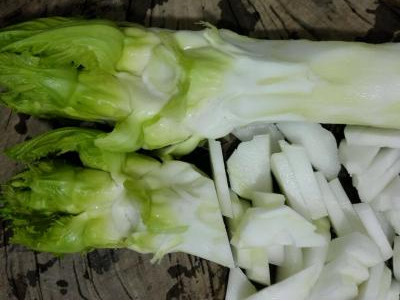 新发现包心白菜种植技术