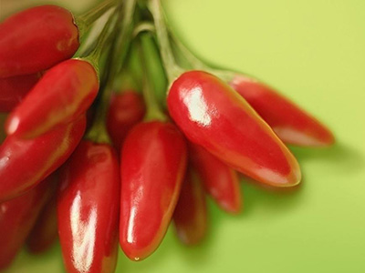 露天西红柿种植技术