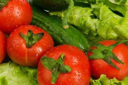 绿柄黑龙茄子品种大全