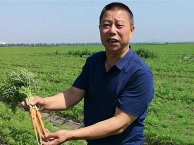 北京红红薯产地批发价格