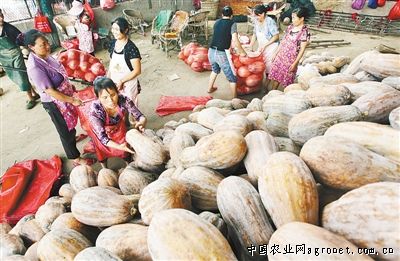 北京：政府参资菜市场 蔬菜供求有保障