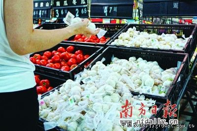 广东佛山蔬菜市场建立扫码溯源监管体系