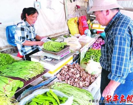 韶关要求开拓蔬菜市场提高农民收入