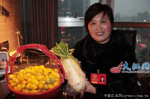苏州青白菜贮藏方法