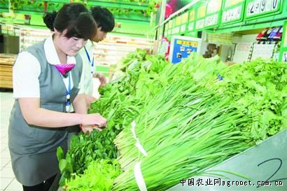 崇左市江州区：蔬菜喜获丰收 菜价开始回落