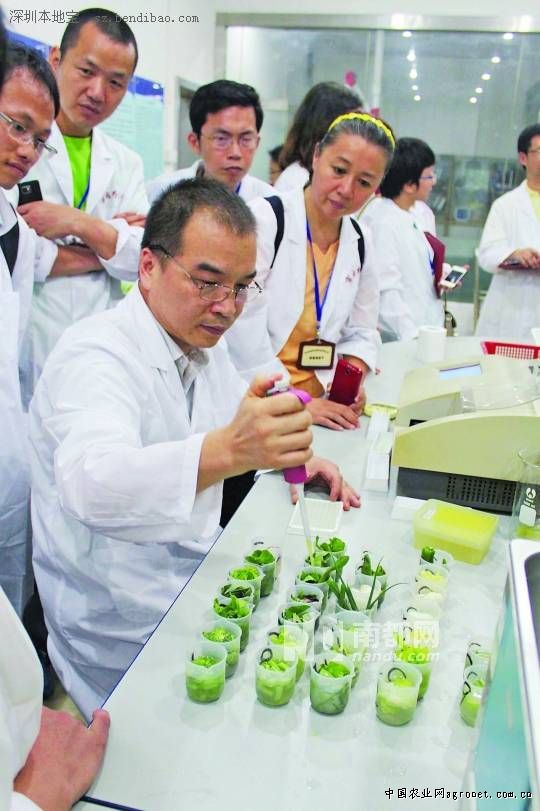 文山砚山县引进投资5亿元种子深加工项目