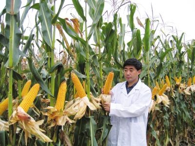 中国玉米网官网