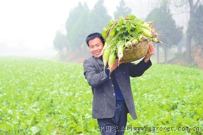芜湖椒种子公司