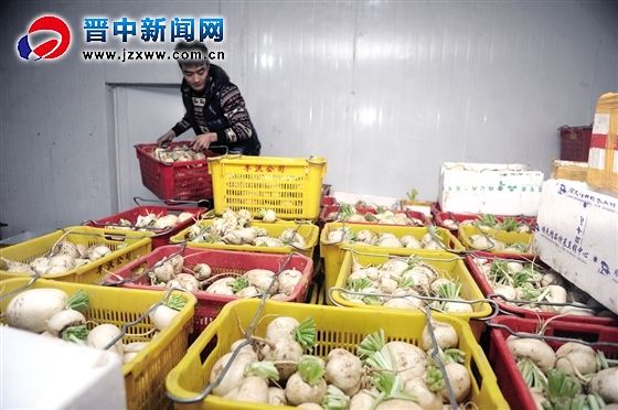 连云港东海县：桃林特色农业 富了农民口袋