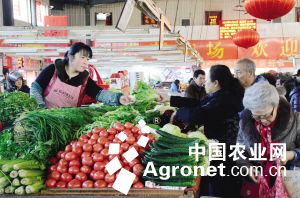 北京3号大白菜批发市场