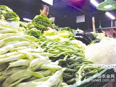 日本先锋胡萝卜市场价格