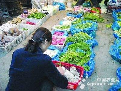 螺丝椒种子多少钱一斤