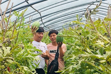织金竹荪种植基地